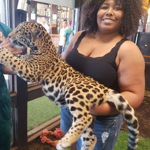 Meet your Posher, Ashante